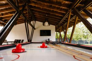a ping pong table with red balls in a room at The Tribe Alpaca Retreat in Brăneşti