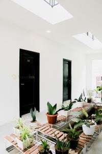 Un grupo de plantas en macetas sobre una mesa. en Haura By Travelink, en Kejajar