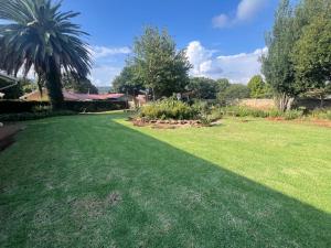 a yard with a green lawn with a palm tree at Kilimanjaro Lodge in Johannesburg