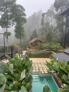 SylVan Resort内部或周边的泳池