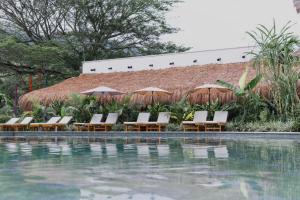 a row of chairs and umbrellas next to a swimming pool at Anzalik Hotel Boutique in Anzá