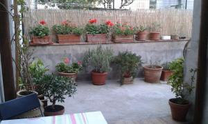 Imagen de la galería de Il Raggio, en Capri