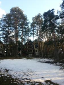a house in the woods with snow on the ground at Apartment 9 Gorska Vila in Zlatibor