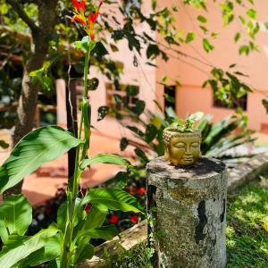 a statue sitting on a stump in a garden at Vale Vijaya bem estar em meio à natureza in Teresópolis +33 photos