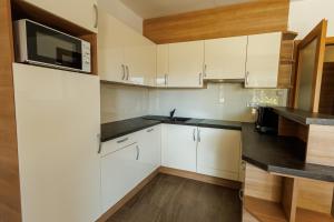 Kuchyňa alebo kuchynka v ubytovaní Jacht Apartmanok