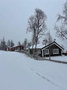 Geilo, two cabins, silence, nature, skiing and summer sports v zimě