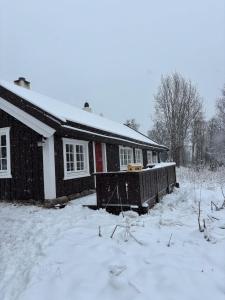 Geilo, two cabins, silence, nature, skiing and summer sports v zimě