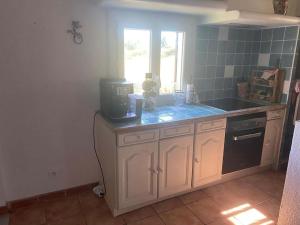 a kitchen with a sink and a counter top at Le Mazet de la Sauvagine in Saintes-Maries-de-la-Mer