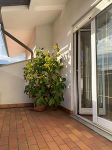 Gallery image of Diva home monfy in Monfalcone +4 photos