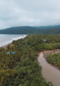 Gallery image of playa mecana kirita in Bahía Solano