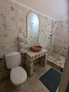 a bathroom with a toilet and a sink and a shower at Grande maison proche Carcassonne 10 p piscine spa sauna Le Grand Chalet Bellevue in Cavanac