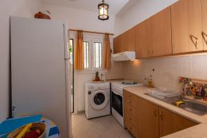 a kitchen with a refrigerator and a washing machine at Aegean Heaven in Samos