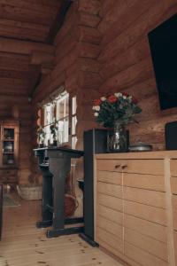 Fjordhygge - Authentic wood log cabin summerhouse near water, fjord and forest的电视和/或娱乐中心