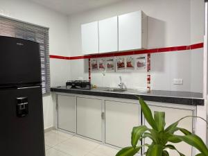 eine Küche mit weißen Schränken und einem schwarzen Kühlschrank in der Unterkunft Elegance in the heart of wine in Lemos