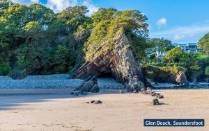 een groep zeehonden op een strand bij Lilac Cottage in Tenby