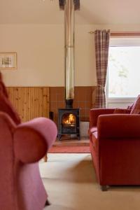 ein Wohnzimmer mit Couch und Kamin in der Unterkunft Holiday Home Doonans Cottage by Interhome in Straiton + 53 Fotos