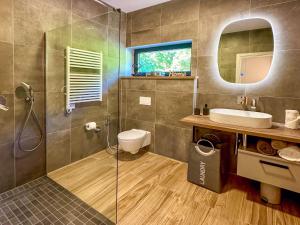 a bathroom with a shower and a sink and a toilet at Villa Villa Perla di Draga by Interhome in Mošćenička Draga