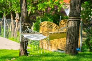a hammock hanging from two trees in a park at Tündérliget in Egerszalók
