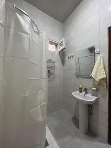 Koupelna v ubytování Kolkha - 1Kolkheti street