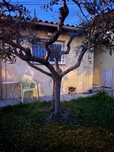 Κήπος έξω από το Loft 43