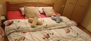 Fotografie z fotogalerie ubytování Apartman SAN v destinaci Soko Banja