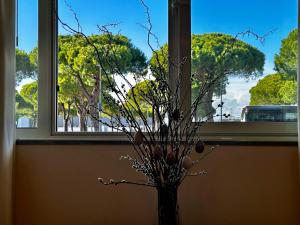 Fotografie z fotogalerie ubytování Green garden apartment v Lignanu Sabbiadoru + 47 fotografií