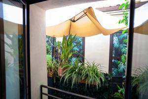 Zahrada ubytování B&B Al Centro