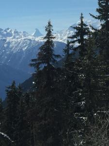 Galeriebild der Unterkunft Haus Brunnen (Anton Karlen) in Riederalp