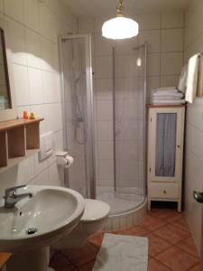 a bathroom with a shower and a sink and a toilet at Ferienwohnung Familie Kitzke in Teisnach +60 photos