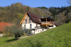 a house on the side of a hill at Heimatglück Ferienwohnung 1 in Lautenbach