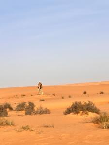 a camel walking in the desert at Tranquility Camp in Al Raka +7 photos