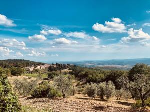 Příroda nedaleko apartmánu