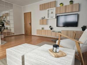 Televízia a/alebo spoločenská miestnosť v ubytovaní Apartament Rema w centrum APARTZAKOP
