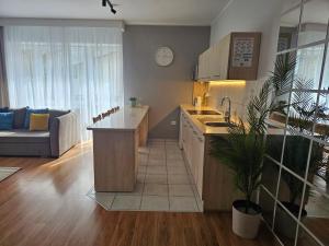 Kuchyňa alebo kuchynka v ubytovaní Apartament Rema w centrum APARTZAKOP