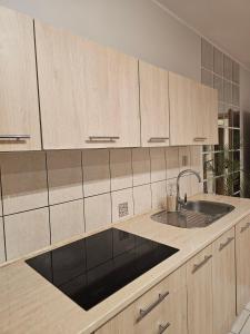 Kuchyňa alebo kuchynka v ubytovaní Apartament Rema w centrum APARTZAKOP