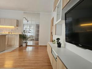 Kuchyňa alebo kuchynka v ubytovaní Apartament Rema w centrum APARTZAKOP + 20 fotografií