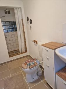 a bathroom with a toilet and a sink at Bungalow 1Eickhof in Warnow +9 photos