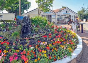 a flower garden in front of a store at Lido Beach in Prestatyn
