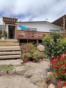 Un jardín fuera de El arrayán costero