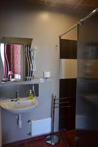 ein Bad mit einem Waschbecken und einer Dusche mit einem Spiegel in der Unterkunft City Center Kaķis B&B in Sigulda