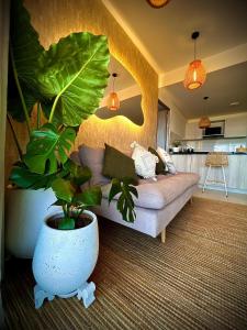 a living room with a couch and a large plant at cartagena apto castelo serena del mar in Puerto Tierrabaja