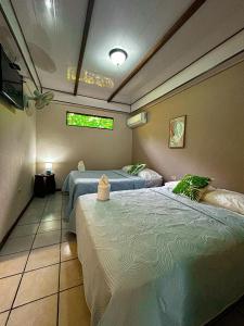 a bedroom with two beds and a window at Cabinas Ole Caribe in Puerto Viejo +15 photos
