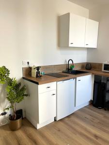 a kitchen with white cabinets and a sink at Le Breizh -T2 en centre ville in Rennes