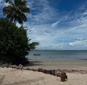 a beach with a palm tree and a boat in the water at Cacha Pregos Vera Cruz - BA in Vera Cruz de Itaparica