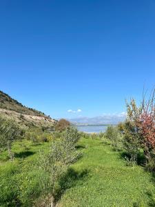 a grassy hill with a view of a body of water at The Mussel House in Ksamil