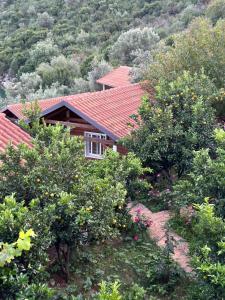 a house with a red roof and some trees at The Mussel House in Ksamil