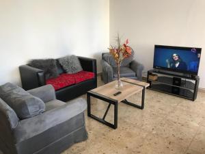 a living room with two couches and a tv at Edelweiss, amplio departamento in Comodoro Rivadavia
