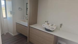 un baño con dos zapatos sentados en un mostrador en Hotel Viento Blanco, en Antofagasta de la Sierra