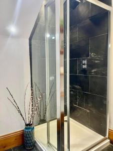 a glass shower with a plant in a vase at By The Beach Large Central Stylish Studio for 4 Guests in Brighton & Hove