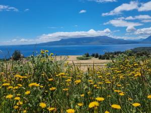 Φωτογραφία από το άλμπουμ του Cabaña con vista panorámica inigualable al lago Llanquihue y volcán Osorno σε La Ensenada